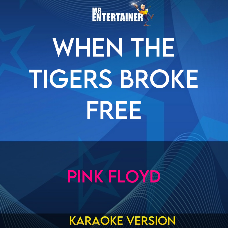 When The Tigers Broke Free - Pink Floyd (Karaoke Version) from Mr Entertainer Karaoke
