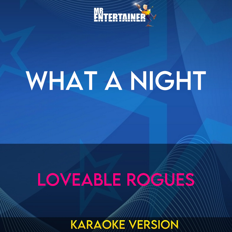 What A Night - Loveable Rogues (Karaoke Version) from Mr Entertainer Karaoke