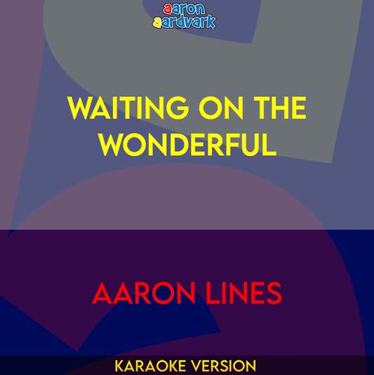 Waiting On The Wonderful - Aaron Lines