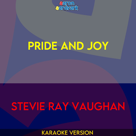 Pride And Joy - Stevie Ray Vaughan