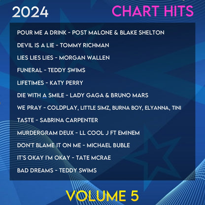 Chart Hits of 2024 Volume 5 (Album)