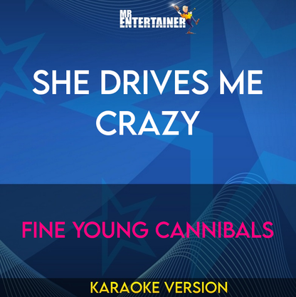 She Drives Me Crazy - Fine Young Cannibals (Karaoke Version) from Mr Entertainer Karaoke
