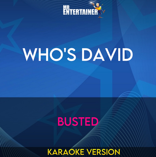 Who's David - Busted (Karaoke Version) from Mr Entertainer Karaoke