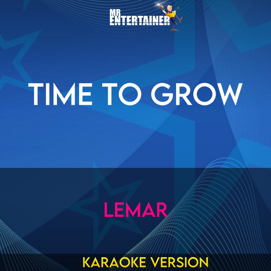 Time To Grow - Lemar (Karaoke Version) from Mr Entertainer Karaoke