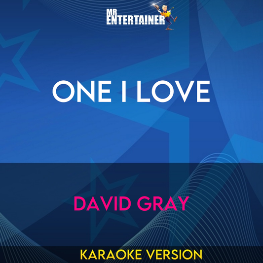 One I Love - David Gray (Karaoke Version) from Mr Entertainer Karaoke