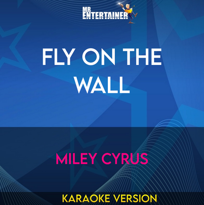 Fly on the wall - Miley Cyrus (Karaoke Version) from Mr Entertainer Karaoke