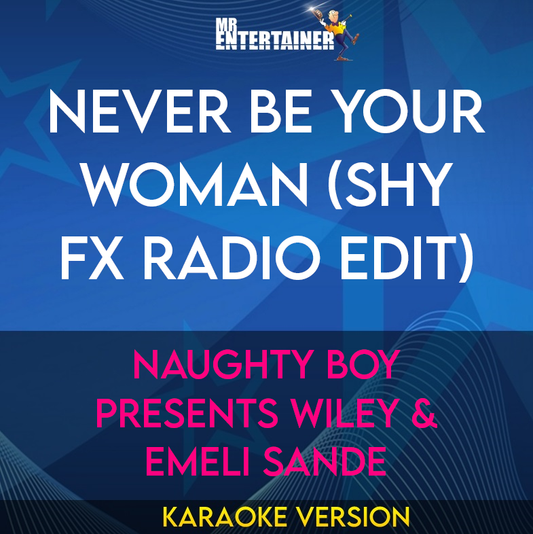 Never Be Your Woman (Shy FX Radio Edit) - Naughty Boy Presents Wiley & Emeli Sande (Karaoke Version) from Mr Entertainer Karaoke
