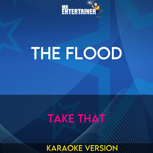 The Flood - Take That (Karaoke Version) from Mr Entertainer Karaoke