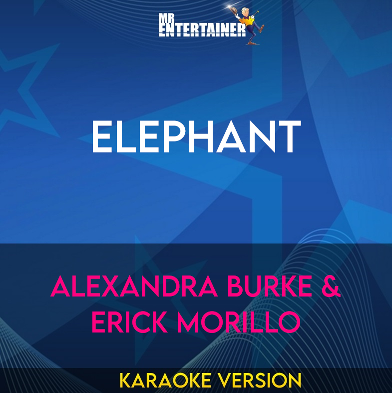 Elephant - Alexandra Burke & Erick Morillo (Karaoke Version) from Mr Entertainer Karaoke