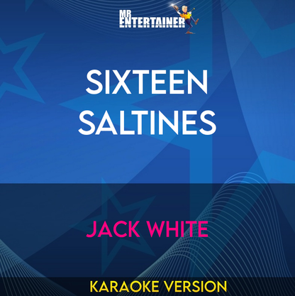 Sixteen Saltines - Jack White (Karaoke Version) from Mr Entertainer Karaoke