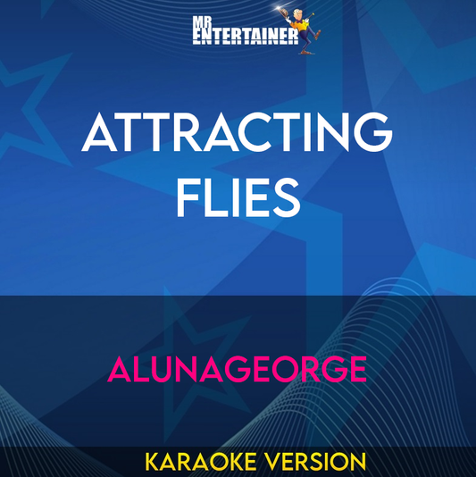 Attracting Flies - AlunaGeorge (Karaoke Version) from Mr Entertainer Karaoke