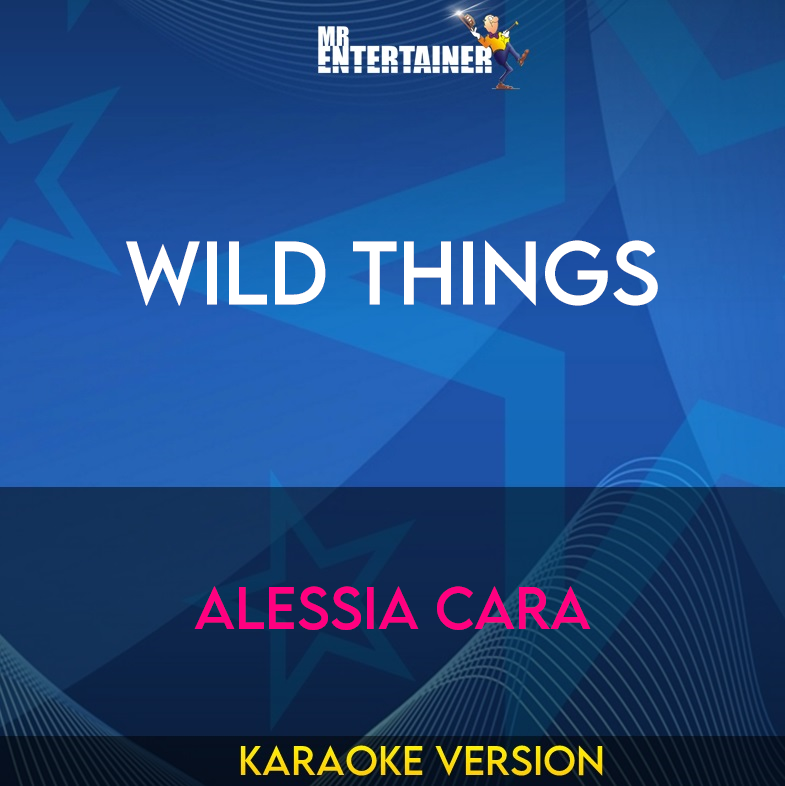 Wild Things - Alessia Cara (Karaoke Version) from Mr Entertainer Karaoke