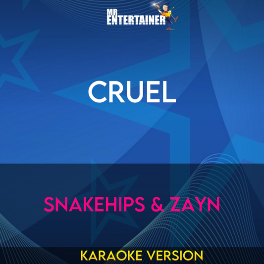 Cruel - Snakehips & ZAYN (Karaoke Version) from Mr Entertainer Karaoke