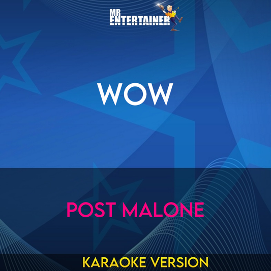 Wow - Post Malone (Karaoke Version) from Mr Entertainer Karaoke