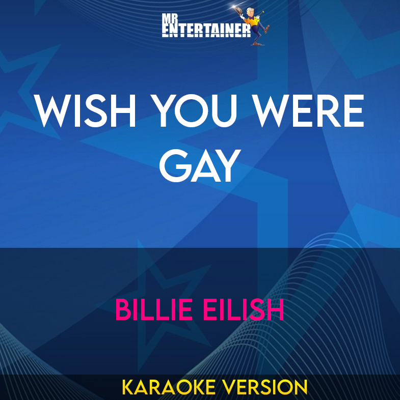 Wish You Were Gay - Billie Eilish (Karaoke Version) from Mr Entertainer Karaoke