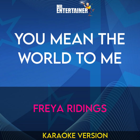 You Mean The World To Me - Freya Ridings (Karaoke Version) from Mr Entertainer Karaoke