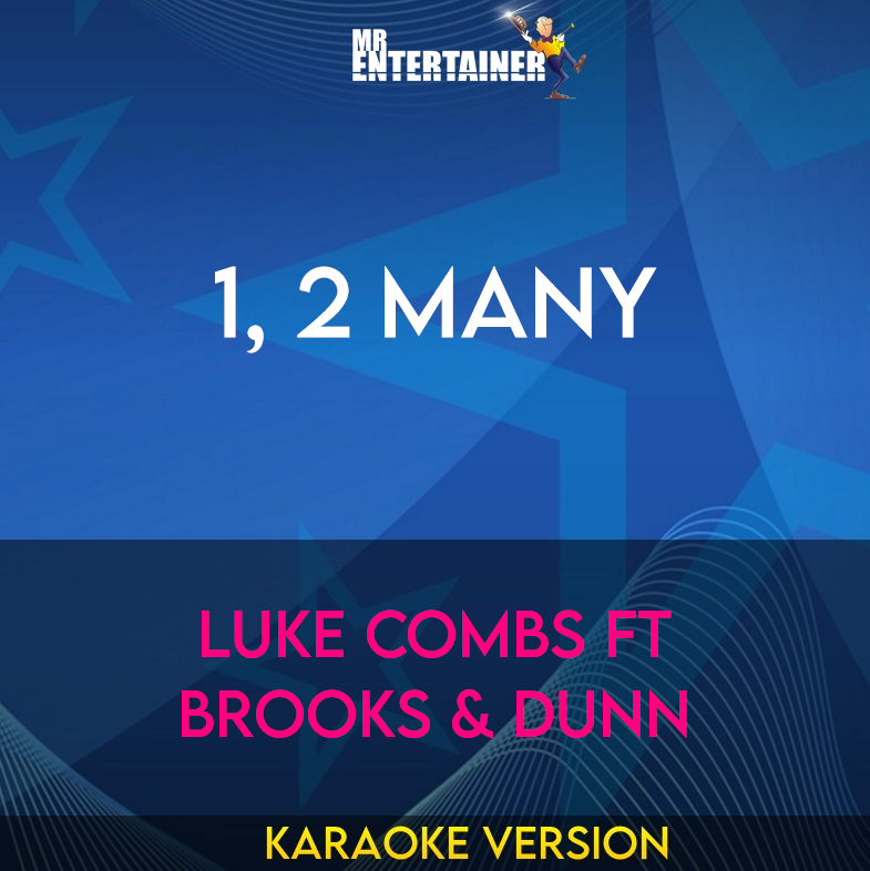 1, 2 Many - Luke Combs ft Brooks & Dunn (Karaoke Version) from Mr Entertainer Karaoke