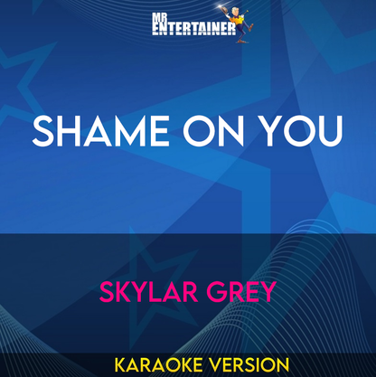 Shame On You - Skylar Grey (Karaoke Version) from Mr Entertainer Karaoke