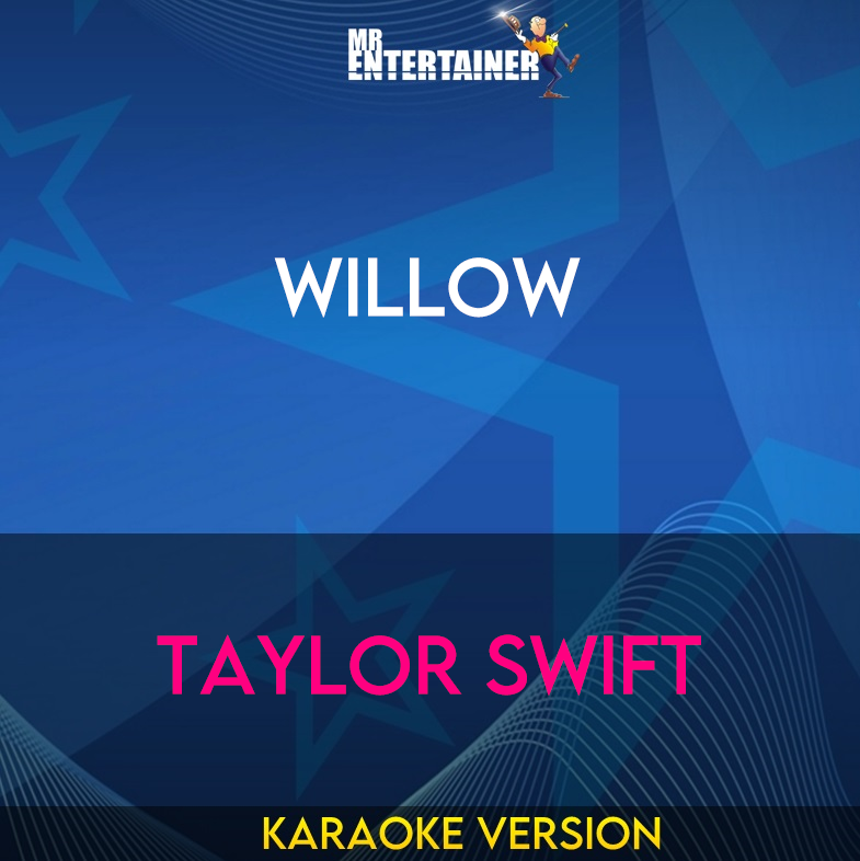 Willow - Taylor Swift (Karaoke Version) from Mr Entertainer Karaoke