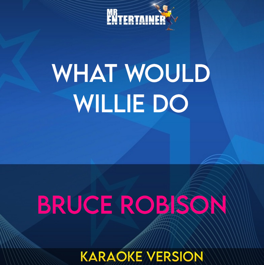 What Would Willie Do - Bruce Robison (Karaoke Version) from Mr Entertainer Karaoke