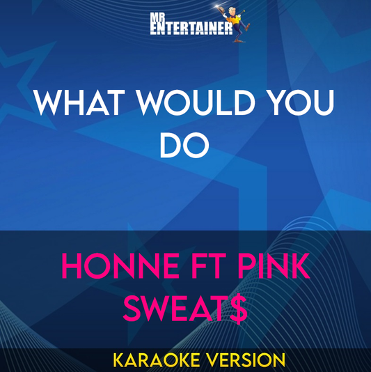 What Would You Do - Honne ft Pink Sweat$ (Karaoke Version) from Mr Entertainer Karaoke