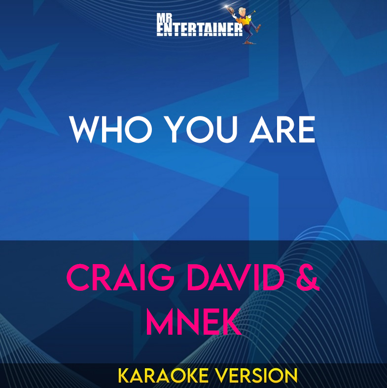 Who You Are - Craig David & MNEK (Karaoke Version) from Mr Entertainer Karaoke