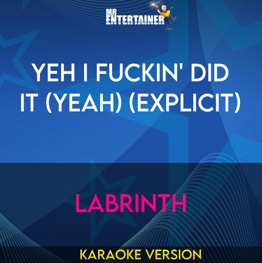 Yeh I Fuckin' Did It (Yeah) (explicit) - Labrinth (Karaoke Version) from Mr Entertainer Karaoke