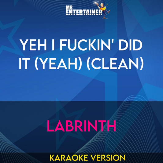 Yeh I Fuckin' Did It (Yeah) (clean) - Labrinth (Karaoke Version) from Mr Entertainer Karaoke