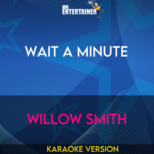 Wait A Minute - Willow Smith (Karaoke Version) from Mr Entertainer Karaoke