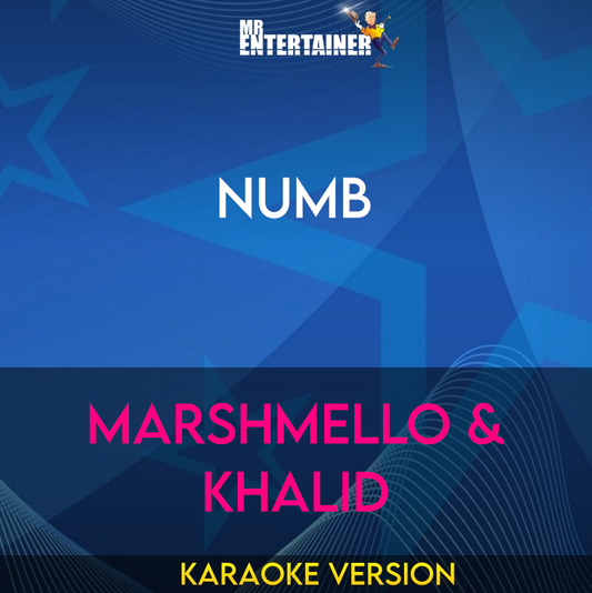 Numb - Marshmello & Khalid (Karaoke Version) from Mr Entertainer Karaoke