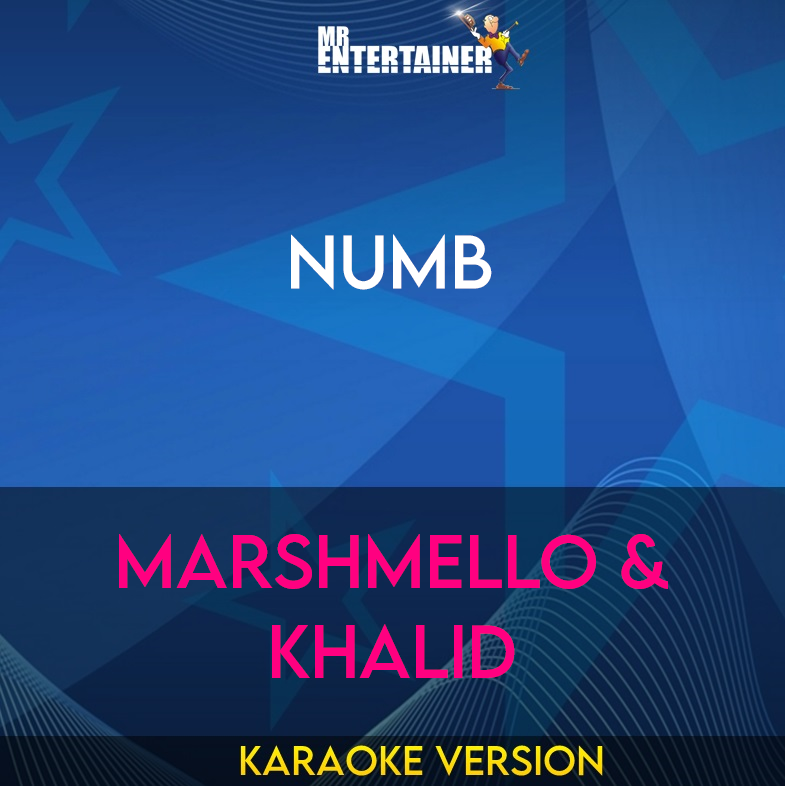 Numb - Marshmello & Khalid (Karaoke Version) from Mr Entertainer Karaoke