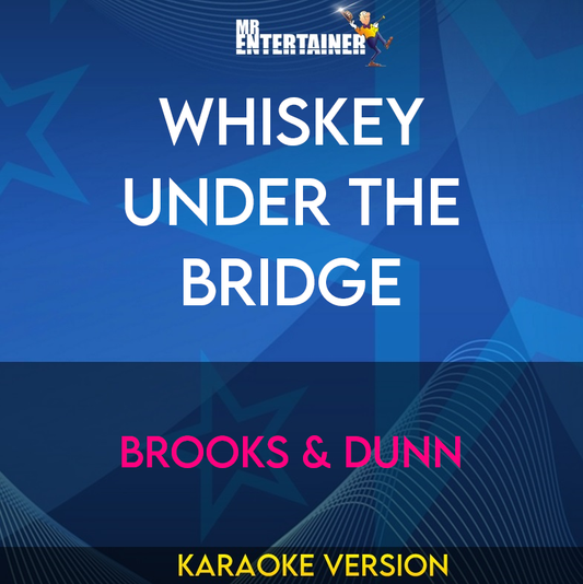 Whiskey Under The Bridge - Brooks & Dunn (Karaoke Version) from Mr Entertainer Karaoke