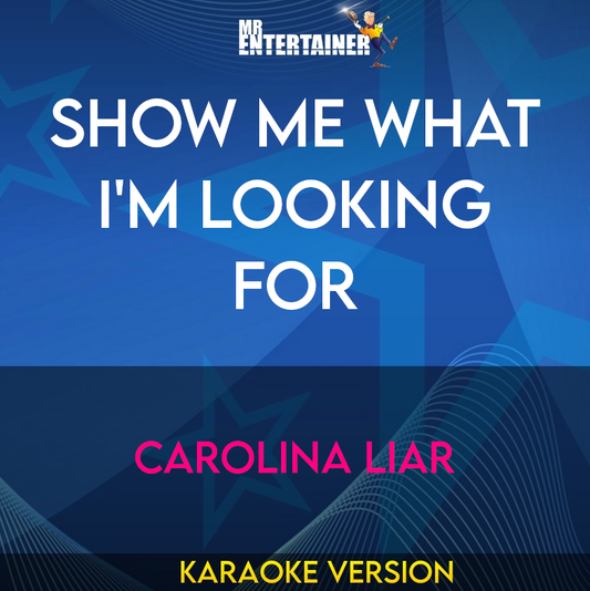 Show Me What I'm Looking For - Carolina Liar (Karaoke Version) from Mr Entertainer Karaoke