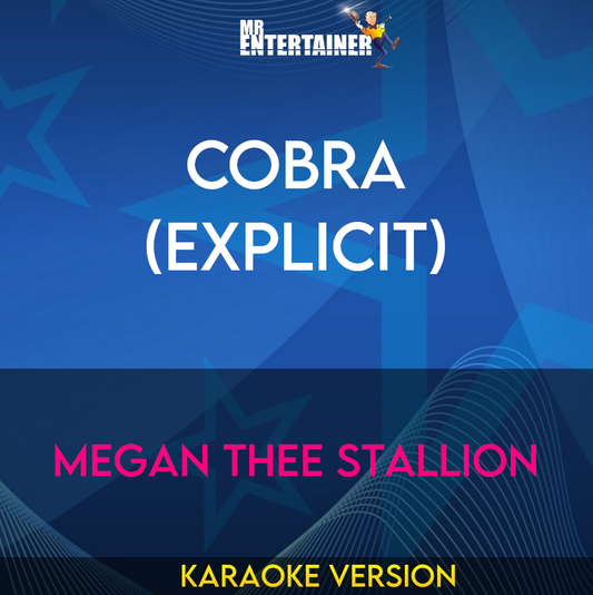 Cobra (explicit) - Megan Thee Stallion (Karaoke Version) from Mr Entertainer Karaoke