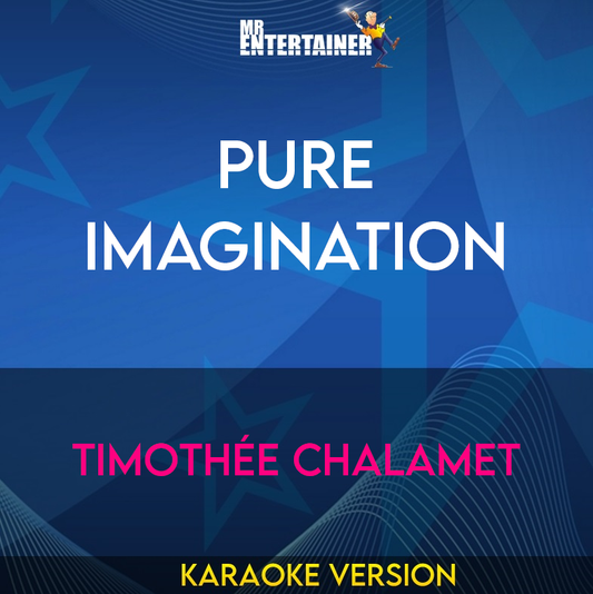 Pure Imagination - Timothée Chalamet (Karaoke Version) from Mr Entertainer Karaoke