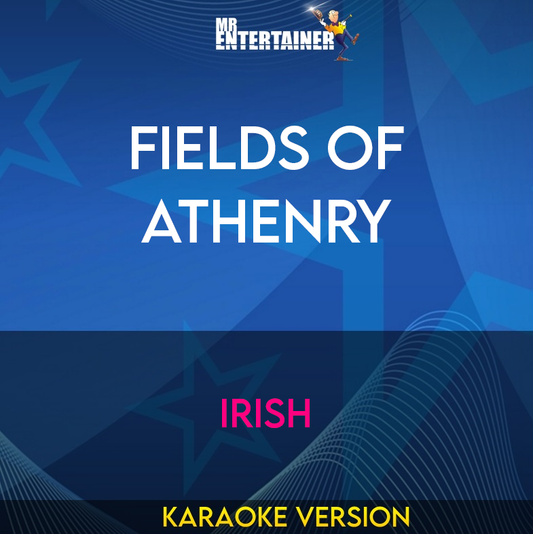 Fields Of Athenry - Irish (Karaoke Version) from Mr Entertainer Karaoke