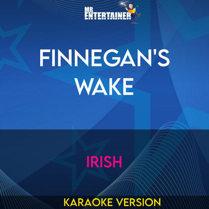 Finnegan's Wake - Irish (Karaoke Version) from Mr Entertainer Karaoke