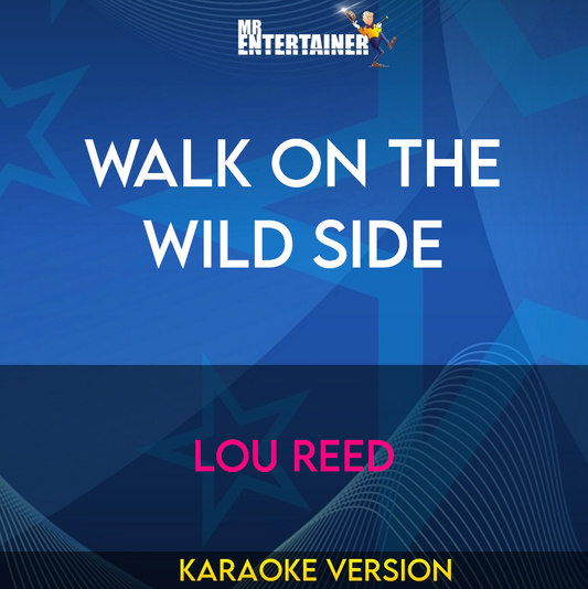 Walk On The Wild Side - Lou Reed (Karaoke Version) from Mr Entertainer Karaoke