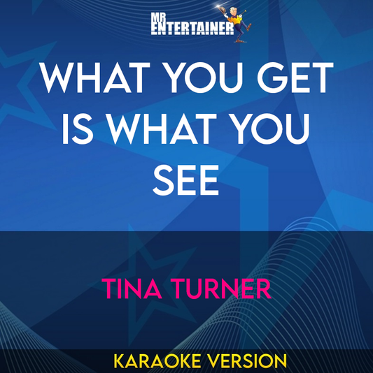 What You Get Is What You See - Tina Turner (Karaoke Version) from Mr Entertainer Karaoke