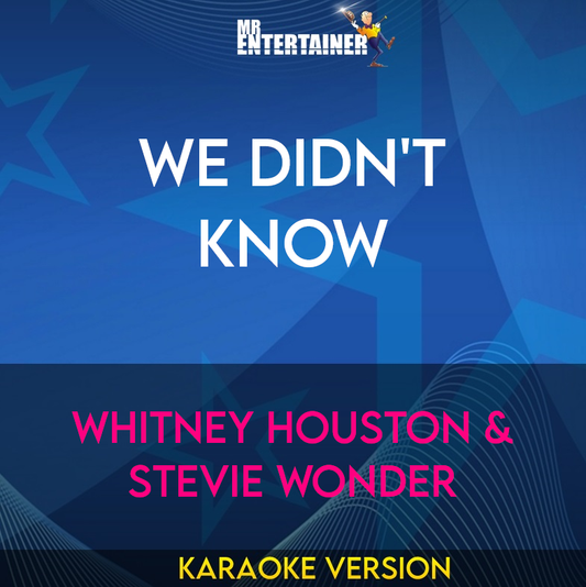 We Didn't Know - Whitney Houston & Stevie Wonder (Karaoke Version) from Mr Entertainer Karaoke