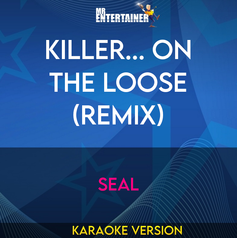 Killer... On The Loose (remix) - Seal (Karaoke Version) from Mr Entertainer Karaoke