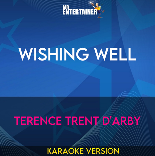 Wishing Well - Terence Trent D'arby (Karaoke Version) from Mr Entertainer Karaoke