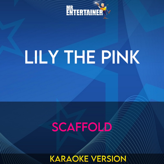 Lily The Pink - Scaffold (Karaoke Version) from Mr Entertainer Karaoke