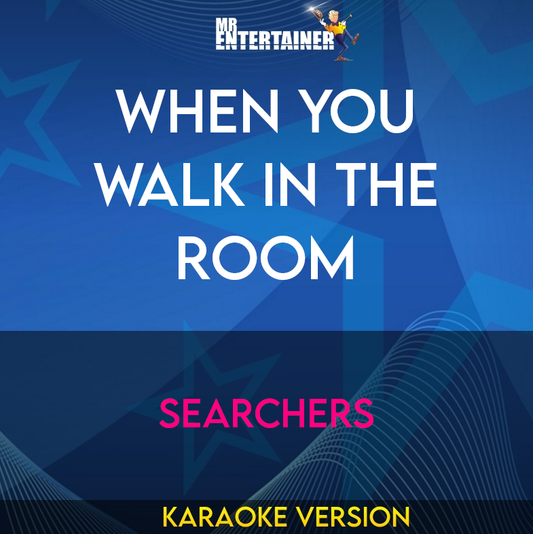 When You Walk In The Room - Searchers (Karaoke Version) from Mr Entertainer Karaoke