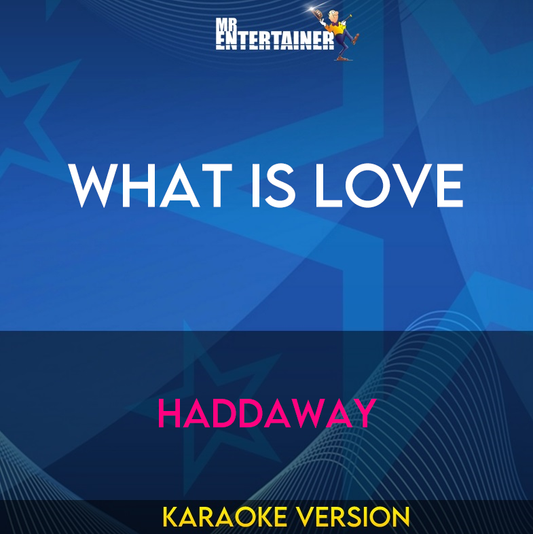 What Is Love - Haddaway (Karaoke Version) from Mr Entertainer Karaoke