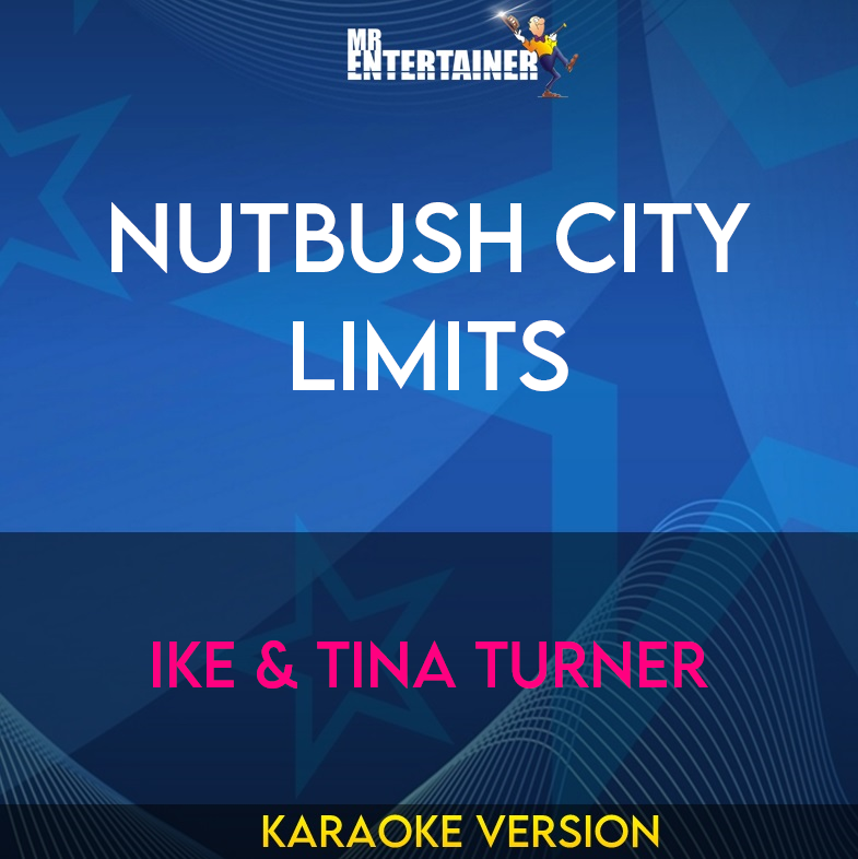 Nutbush City Limits - Ike & Tina Turner (Karaoke Version) from Mr Entertainer Karaoke