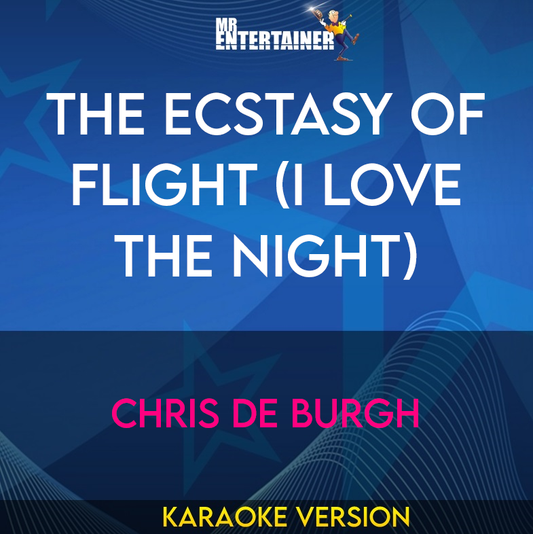 The Ecstasy Of Flight (i Love The Night) - Chris De Burgh (Karaoke Version) from Mr Entertainer Karaoke