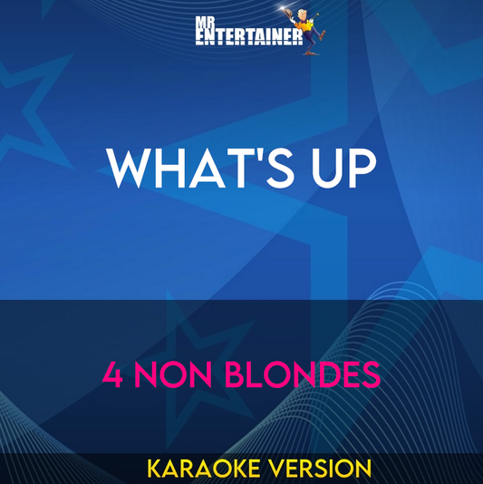 What's Up - 4 Non Blondes (Karaoke Version) from Mr Entertainer Karaoke