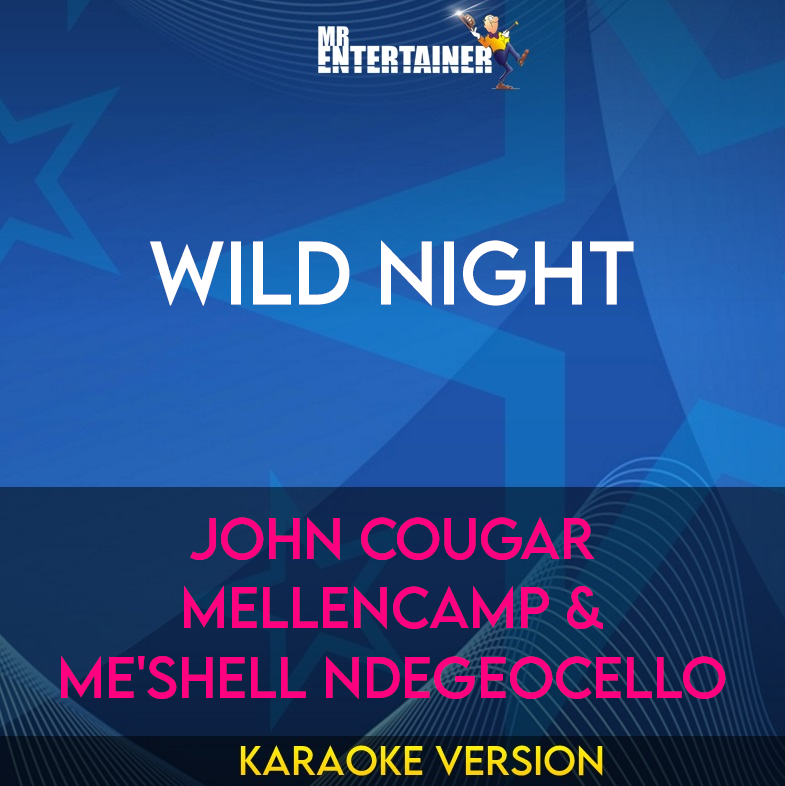 Wild Night - John Cougar Mellencamp & Me'shell Ndegeocello (Karaoke Version) from Mr Entertainer Karaoke