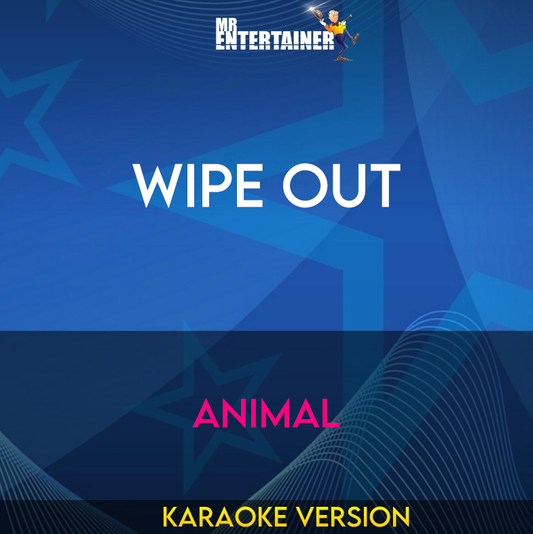 Wipe Out - Animal (Karaoke Version) from Mr Entertainer Karaoke